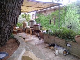 Our Setup (plus Pok aka Speck aka Spank aka Pac aka whatever)